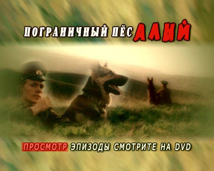 Иллюстрация 10 из 19 для Пограничный пес Алый (DVD) - Юлий Файт | Лабиринт - . Источник: licm