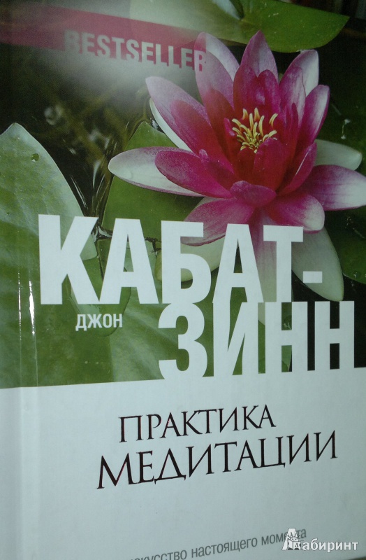 Иллюстрация 1 из 19 для Практика медитации: В любое время, в любом месте - Джон Кабат-Зинн | Лабиринт - книги. Источник: Леонид Сергеев