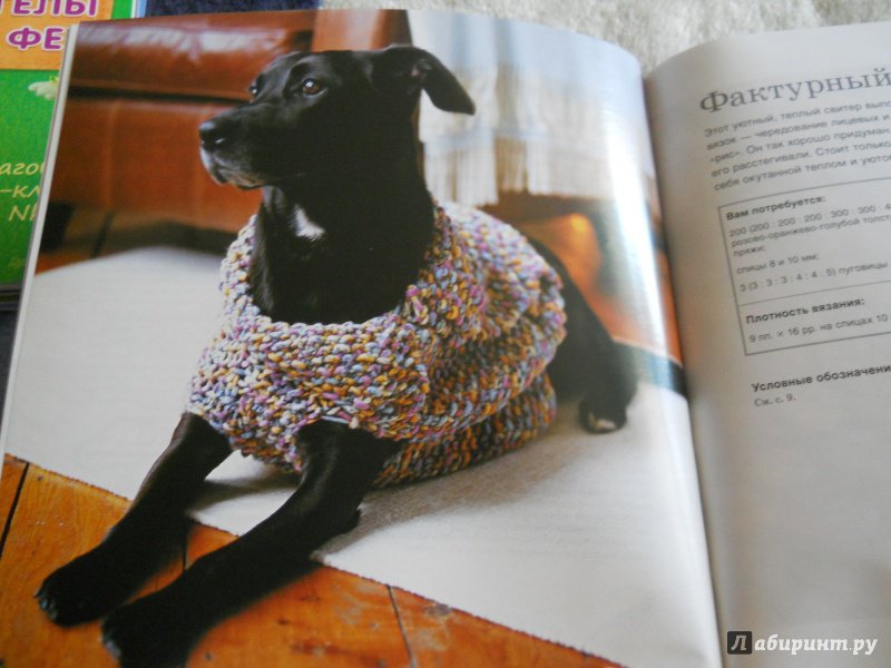 Иллюстрация 9 из 17 для Пальто, кардиганы свитера. Стильная одежда для собак - Анна Тильман | Лабиринт - книги. Источник: kosolapiki