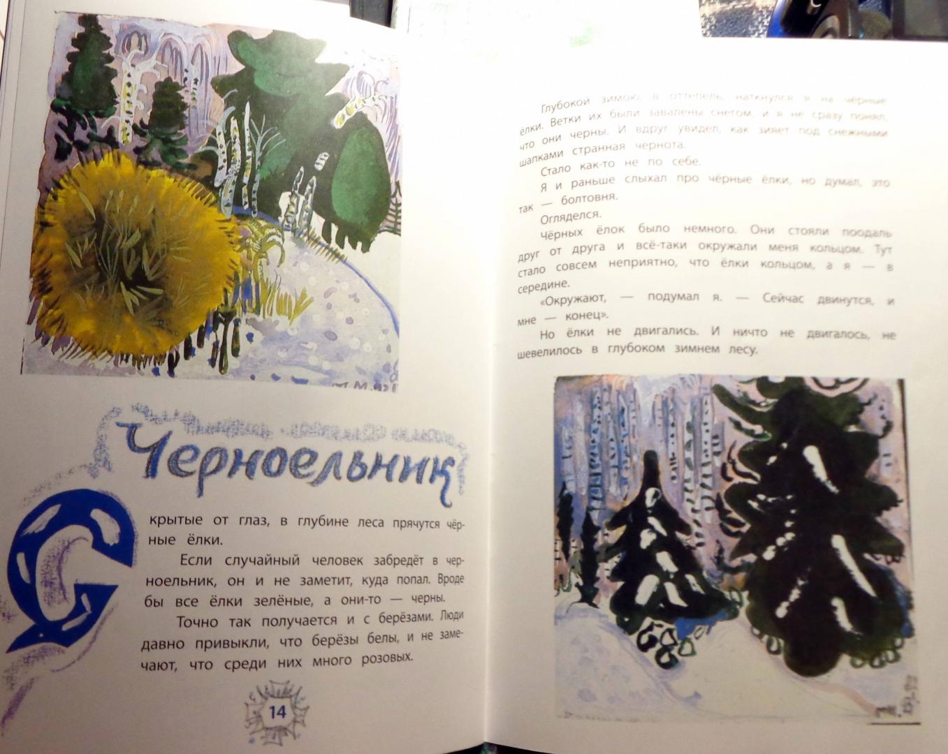 Иллюстрация 6 из 31 для Снег - Коваль, Маврина | Лабиринт - книги. Источник: i.byorn