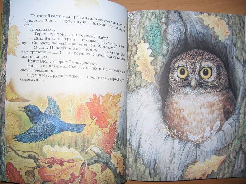 Иллюстрация 58 из 87 для Сказки о родной природе - Бианки, Сладков, Шим | Лабиринт - книги. Источник: Red cat ;)