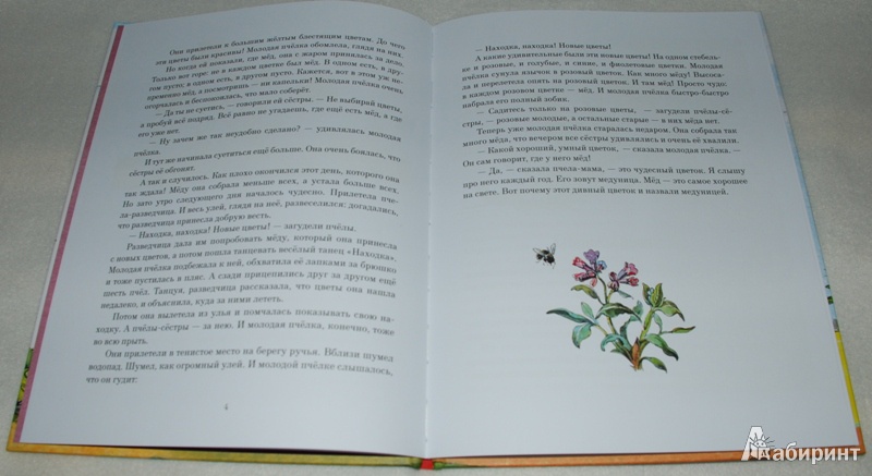 Иллюстрация 9 из 33 для Жёлтый, белый, лиловый - Нина Павлова | Лабиринт - книги. Источник: Книжный кот
