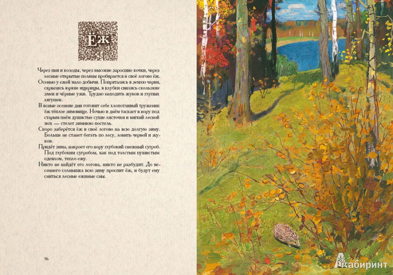 Иллюстрация 18 из 69 для Год в лесу - Иван Соколов-Микитов | Лабиринт - книги. Источник: mif