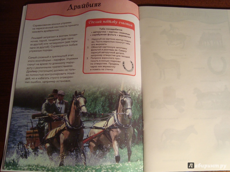 Иллюстрация 12 из 19 для Лошади и пони. Забавные наклейки | Лабиринт - книги. Источник: Чародейница