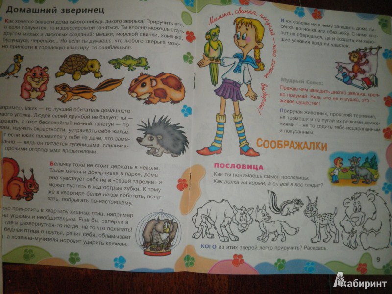 Иллюстрация 6 из 7 для Ты и животные 6-7 лет - Людмила Радзиевская | Лабиринт - книги. Источник: Ека74