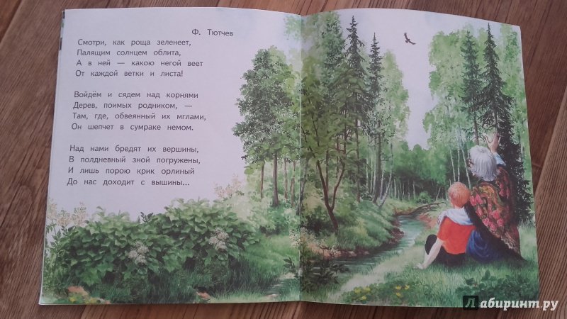 Иллюстрация 28 из 28 для Бабушкино лето | Лабиринт - книги. Источник: Калинина  Таня