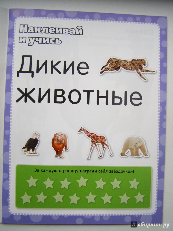 Иллюстрация 17 из 44 для Дикие животные. Наклеивай и учись | Лабиринт - книги. Источник: Elena Yudina