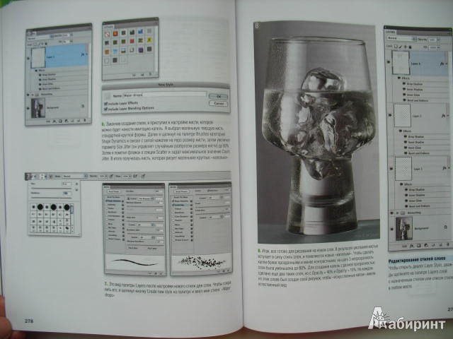 Иллюстрация 8 из 33 для Adobe Photoshop CS5 для фотографов. Вершины мастерства (+DVD) - Ивнинг, Шеве | Лабиринт - книги. Источник: kolobus