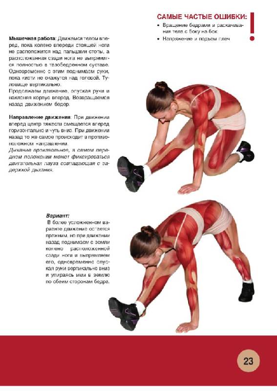 Иллюстрация 21 из 55 для Анатомия физических упражнений - Михаил Ингерлейб | Лабиринт - книги. Источник: Юта