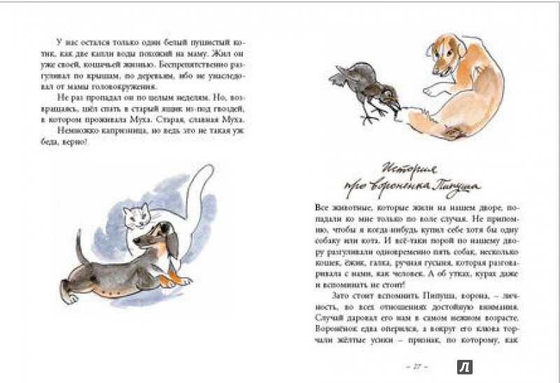 Иллюстрация 3 из 43 для Муха с капризами - Ян Грабовский | Лабиринт - книги. Источник: angela_kvitka