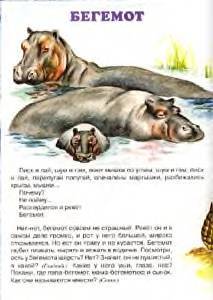 Иллюстрация 25 из 26 для Про зверей. | Лабиринт - книги. Источник: Пчёлка Майя