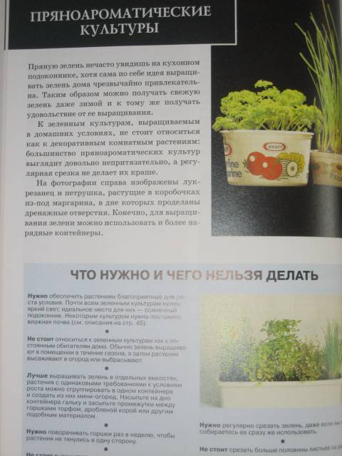 Иллюстрация 13 из 40 для Все о комнатных растениях. Книга вторая - Дэвид Хессайон | Лабиринт - книги. Источник: МЕГ