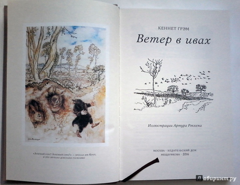 Иллюстрация 40 из 54 для Ветер в ивах - Кеннет Грэм | Лабиринт - книги. Источник: leontyua