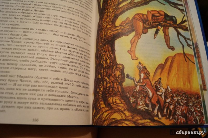 Иллюстрация 53 из 64 для Маугли - Редьярд Киплинг | Лабиринт - книги. Источник: Тухкина  Евгения
