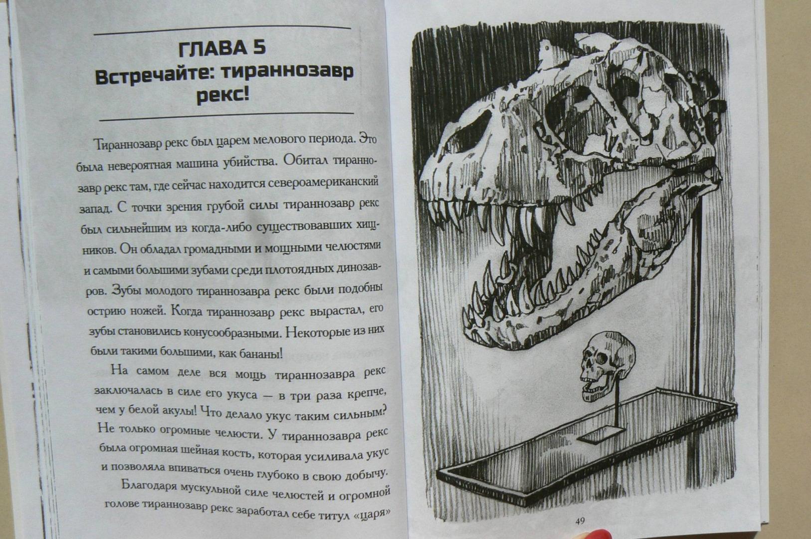 Иллюстрация 7 из 13 для Какой была эпоха динозавров? - Мари Стайн | Лабиринт - книги. Источник: Лидия