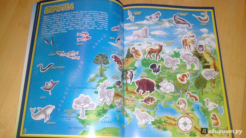 Иллюстрация 6 из 23 для Атлас мира с наклейками. Животные и растения | Лабиринт - книги. Источник: bamboo