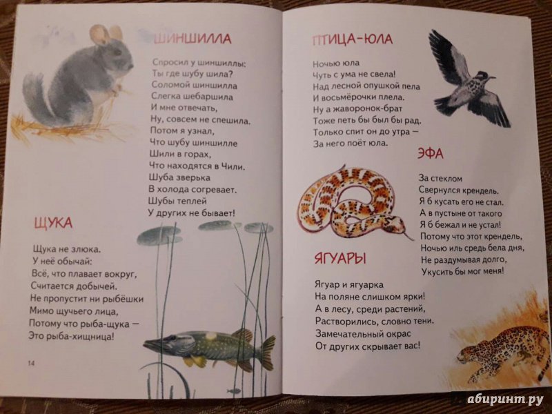 Иллюстрация 11 из 17 для Зоопарк - Алексей Шевченко | Лабиринт - книги. Источник: EksiKas