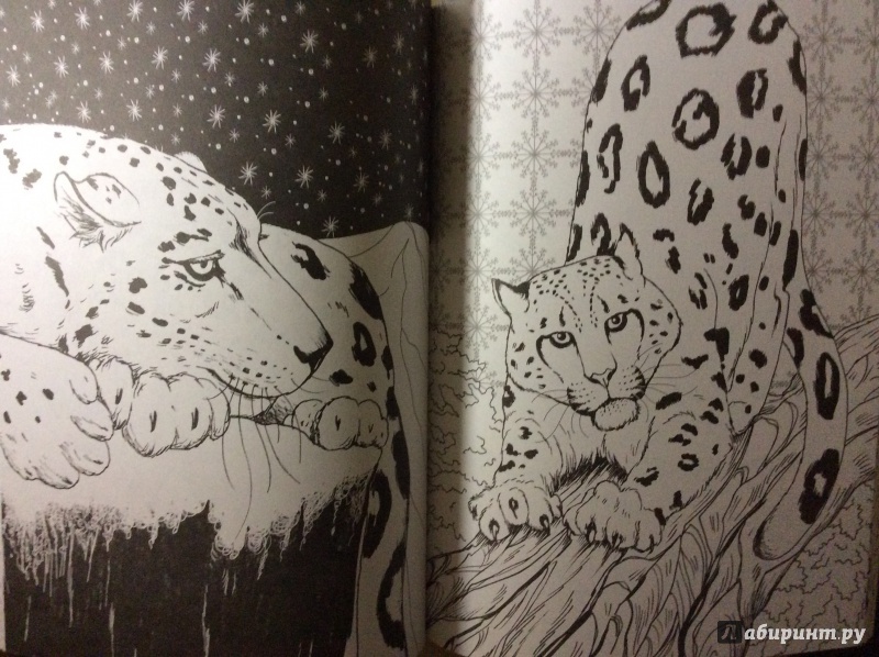 Иллюстрация 18 из 41 для Фантастические кошки. Раскраска-антистресс для творчества и вдохновения | Лабиринт - книги. Источник: Alienated