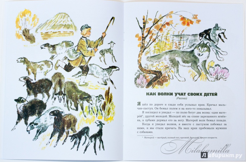 Иллюстрация 46 из 48 для О животных и птицах - Лев Толстой | Лабиринт - книги. Источник: Букландия