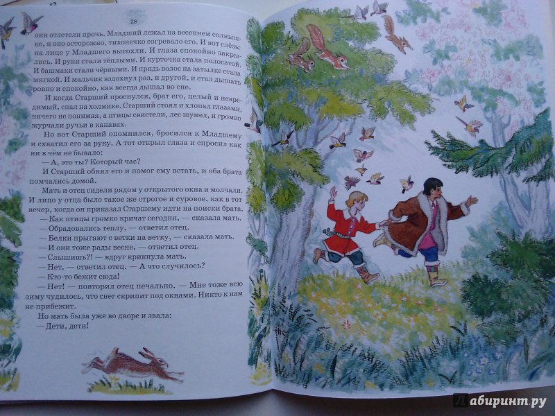 Иллюстрация 24 из 29 для Два брата - Евгений Шварц | Лабиринт - книги. Источник: Ольга