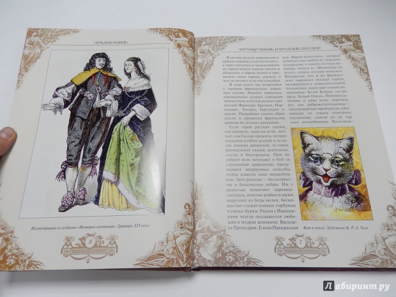 Иллюстрация 16 из 33 для Французские народные сказки | Лабиринт - книги. Источник: dbyyb