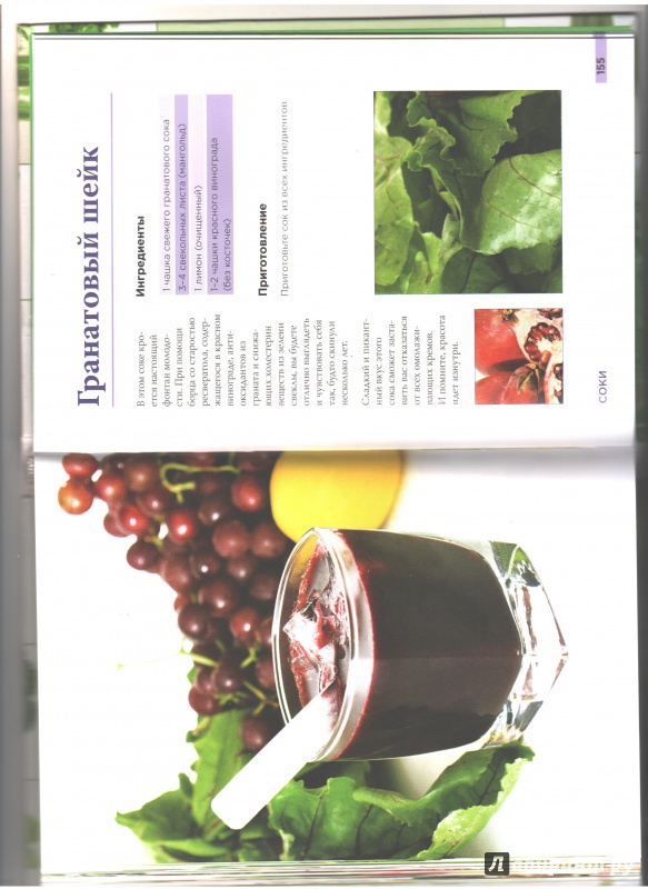 Иллюстрация 7 из 19 для Зеленые  коктейли. Рецепты для здоровья, энергии, молодости и стройной фигуры - Джейсон Манхейм | Лабиринт - книги. Источник: lafleur