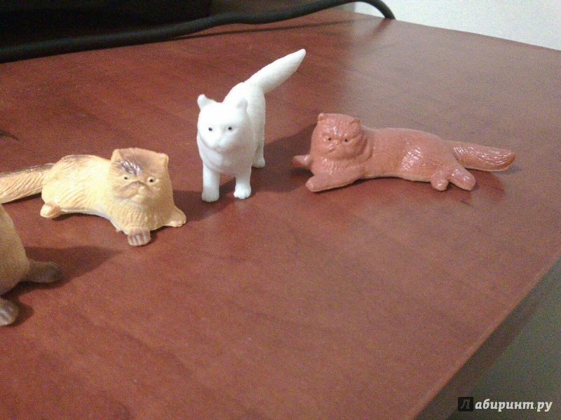 Иллюстрация 2 из 4 для Игровой набор собак и кошек (12 предметов) (Т50535) | Лабиринт - игрушки. Источник: Jane Negara