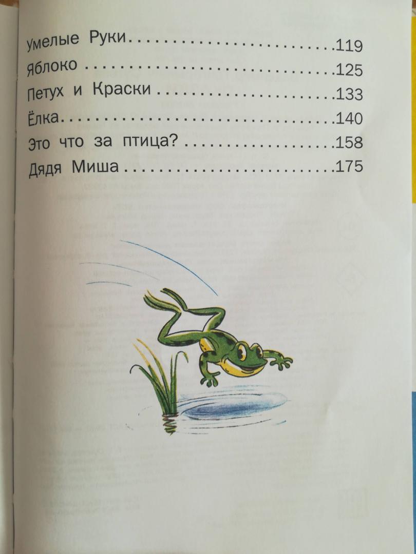 Иллюстрация 93 из 108 для Сказки - Владимир Сутеев | Лабиринт - книги. Источник: natalia.31.08