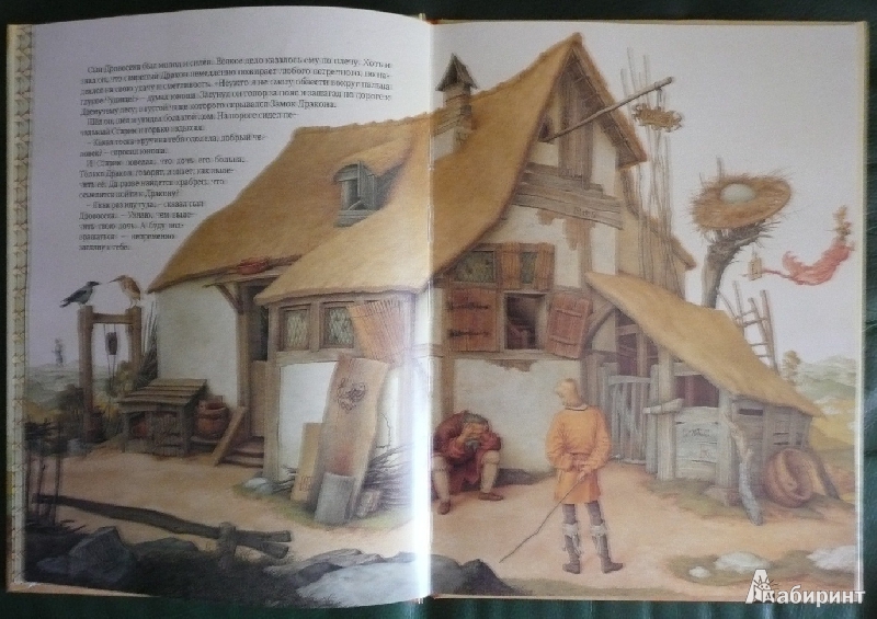 Иллюстрация 47 из 56 для Золотые перья Дракона - Арника Эстерль | Лабиринт - книги. Источник: book lover