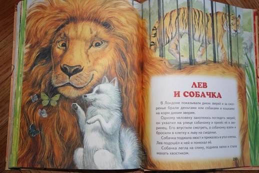 Иллюстрация 29 из 30 для Рассказы русских писателей о животных | Лабиринт - книги. Источник: Vilvarin  Laurea