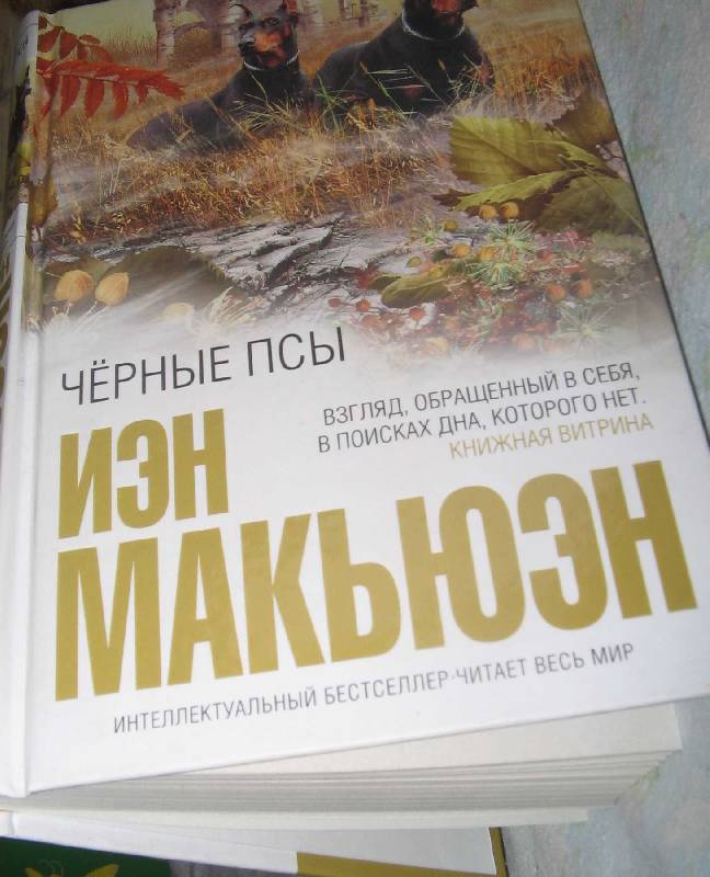 Иллюстрация 25 из 26 для Черные псы - Иэн Макьюэн | Лабиринт - книги. Источник: Рыженький