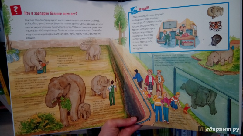 Иллюстрация 26 из 40 для Животные в зоопарке - Забине Шук | Лабиринт - книги. Источник: Мила