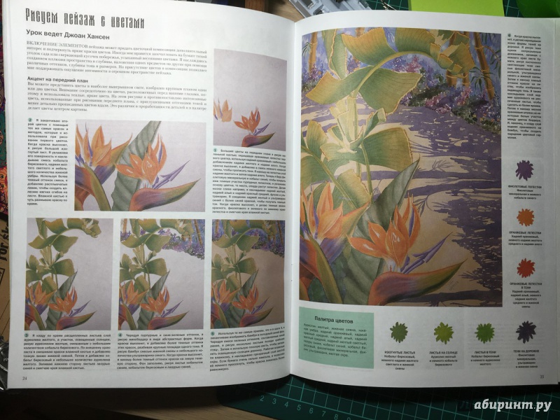 Иллюстрация 11 из 14 для Цветы и растения - Лискотт, Мидвей, Фудерич | Лабиринт - книги. Источник: YanaBoeva