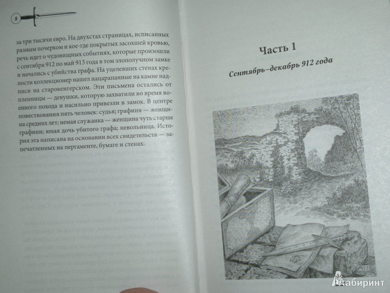 Иллюстрация 6 из 15 для Тайна древнего замка - Эрик Вальц | Лабиринт - книги. Источник: Леонид Сергеев