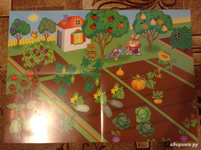 Иллюстрация 24 из 24 для Развивающий плакат-игра с многоразовыми наклейками "Во саду ли, в огороде" - М. Калугина | Лабиринт - игрушки. Источник: Наталья