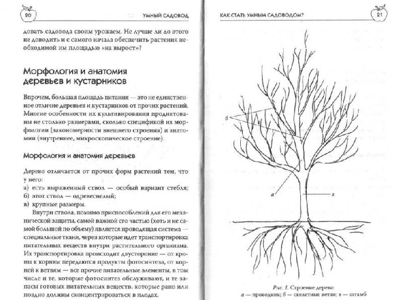 Иллюстрация 5 из 30 для Умный садовод - Мария Цветкова | Лабиринт - книги. Источник: Юта