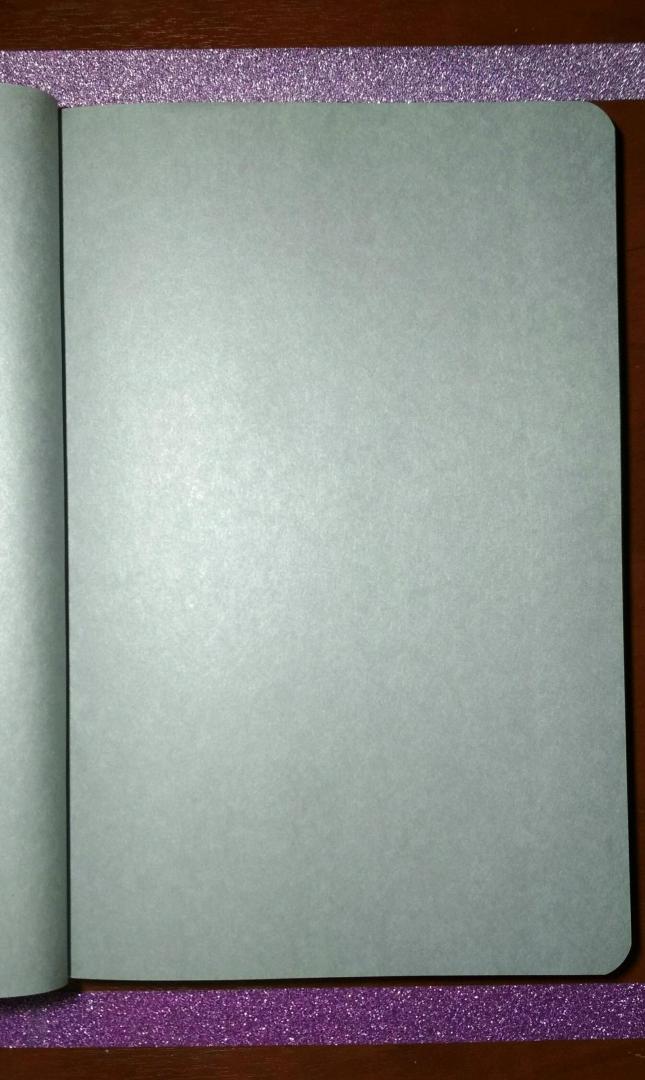 Иллюстрация 2 из 7 для Silver Note. Креативный блокнот с серебряными страницами | Лабиринт - книги. Источник: Селиванова  Наталья Геннадьевна