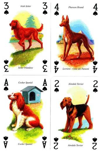 Иллюстрация 6 из 10 для Карты игральные. Собаки | Лабиринт - игрушки. Источник: Kvaki
