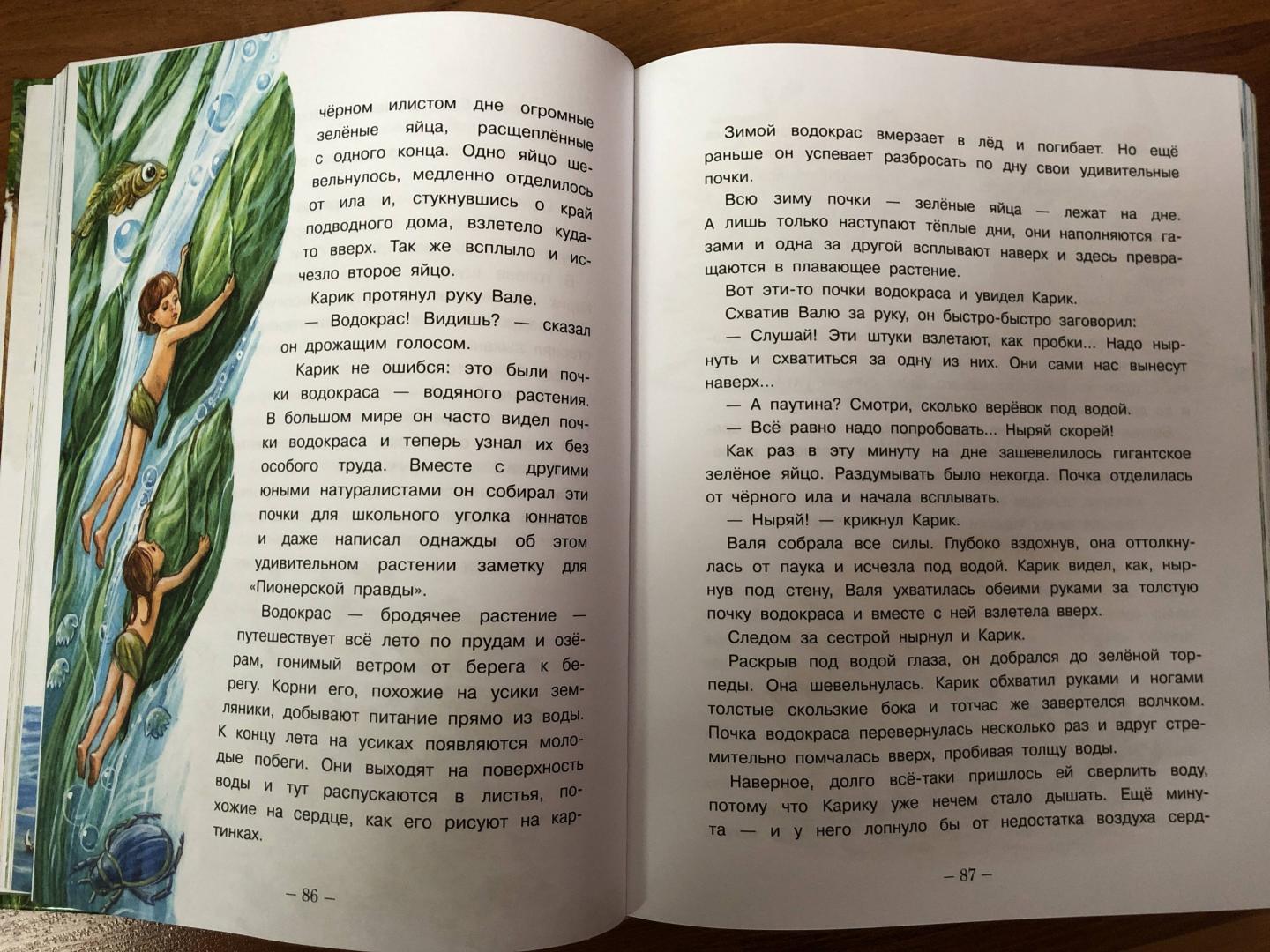 Иллюстрация 65 из 95 для Необыкновенные приключения Карика и Вали - Ян Ларри | Лабиринт - книги. Источник: ДинаЛана