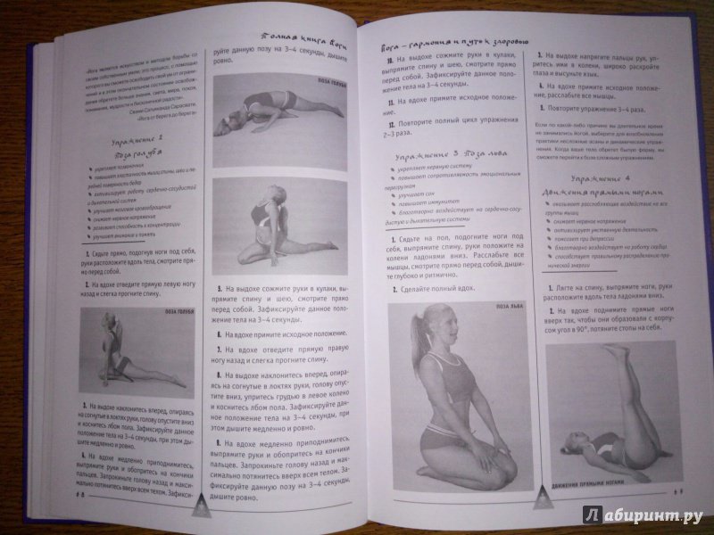 Иллюстрация 6 из 20 для Полная книга йоги - Александр Севостьянов | Лабиринт - книги. Источник: Mari_raif