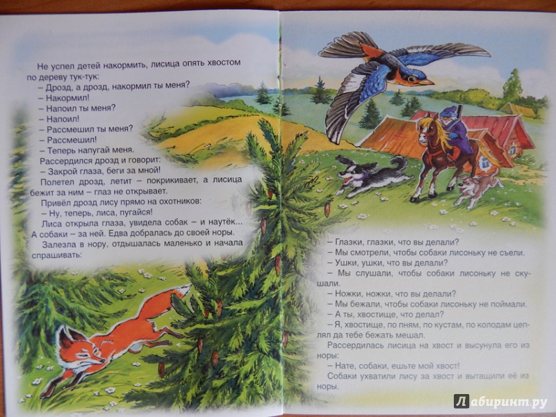 Иллюстрация 10 из 22 для Лиса и дрозд | Лабиринт - книги. Источник: Мелкова  Оксана