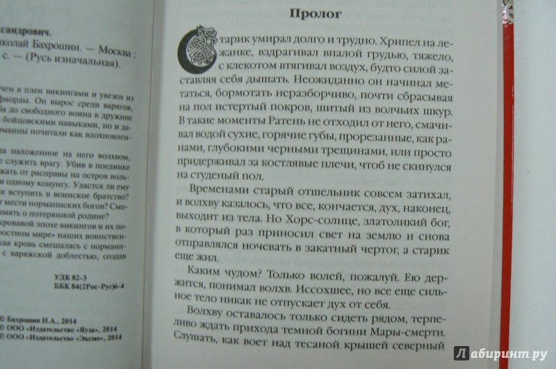 Иллюстрация 4 из 5 для Викинги. Скальд - Николай Бахрошин | Лабиринт - книги. Источник: Марина