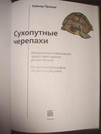Иллюстрация 24 из 35 для Сухопутные черепахи - Райнер Прашага | Лабиринт - книги. Источник: gekky_N
