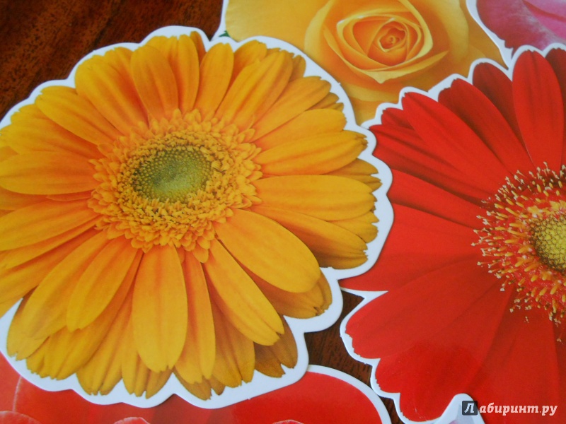 Иллюстрация 7 из 16 для Набор цветов на скотче для украшения стен (КМ-7996) | Лабиринт - сувениры. Источник: Леан