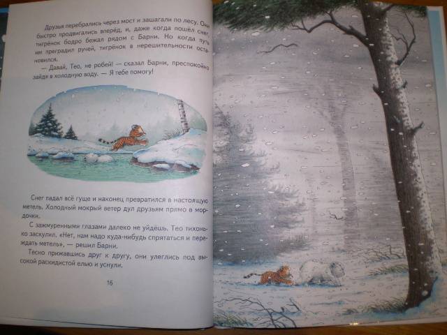 Иллюстрация 57 из 86 для Барни, белый медвежонок - Беер Де | Лабиринт - книги. Источник: С  М В