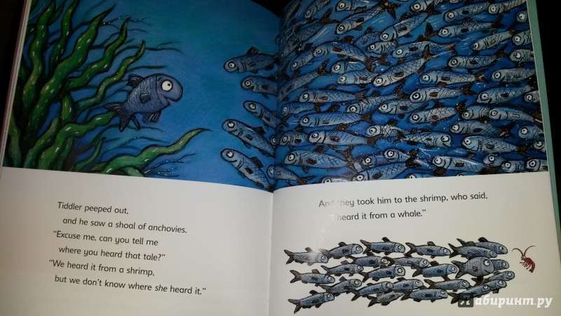 Иллюстрация 22 из 22 для Tiddler. The story-telling fish. Early Reader - Julia Donaldson | Лабиринт - книги. Источник: kirillleroy