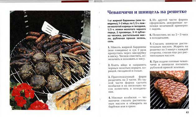 Иллюстрация 30 из 38 для Блюда на открытом огне - Ирина Румянцева | Лабиринт - книги. Источник: Ялина