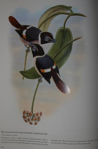 Иллюстрация 15 из 22 для Птицы Азии - Джон Гульд | Лабиринт - книги. Источник: Наталья Бухтиярова