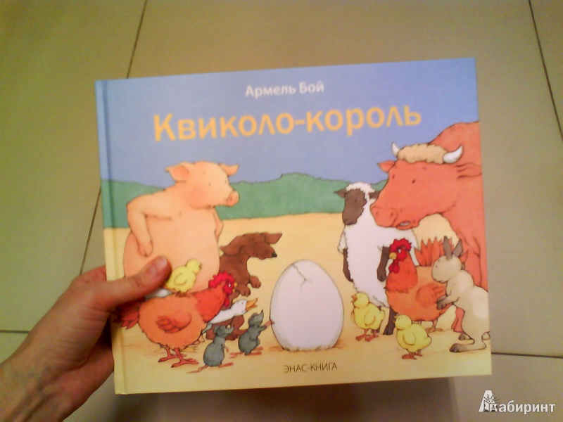 Иллюстрация 5 из 14 для Квиколо-король - Армель Бой | Лабиринт - книги. Источник: Мила