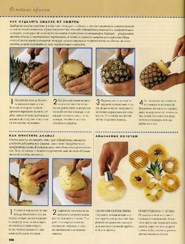Иллюстрация 50 из 65 для Новое о десерте: кулинарные шедевры от Le Cordon Bleu - Дюшен, Джонс | Лабиринт - книги. Источник: Юта